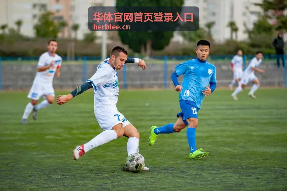 羽毛球入门到进阶专题